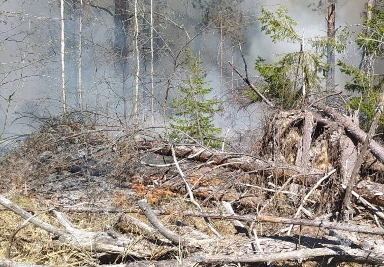 В Костромской области более 6 часов подряд тушат торфяной пожар