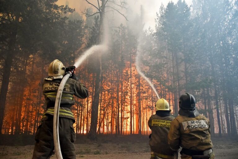 Пожароопасный сезон в Костромской области начнётся 16 апреля