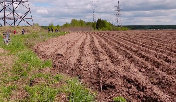 Жителям Костромской области раздадут 762 бесплатных земельных участка