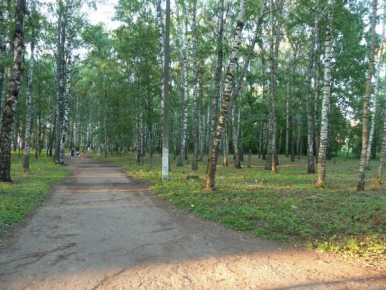 Власти огласили подробности строительства нежеланной для экологов школы