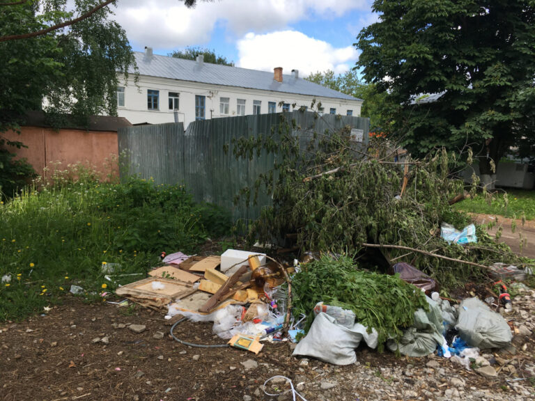 Проблему с созданием мусорного полигона для Костромы объяснили … чиновников